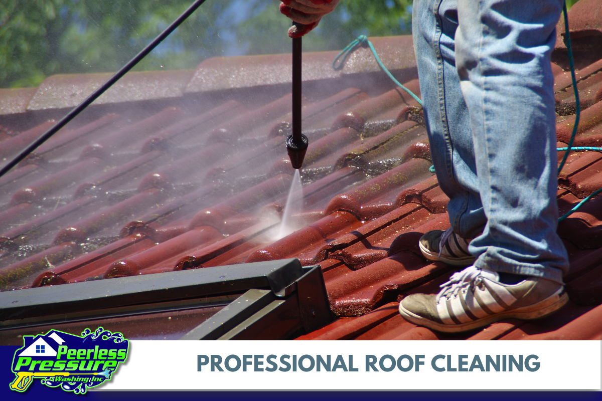 Professional Roof Cleaning