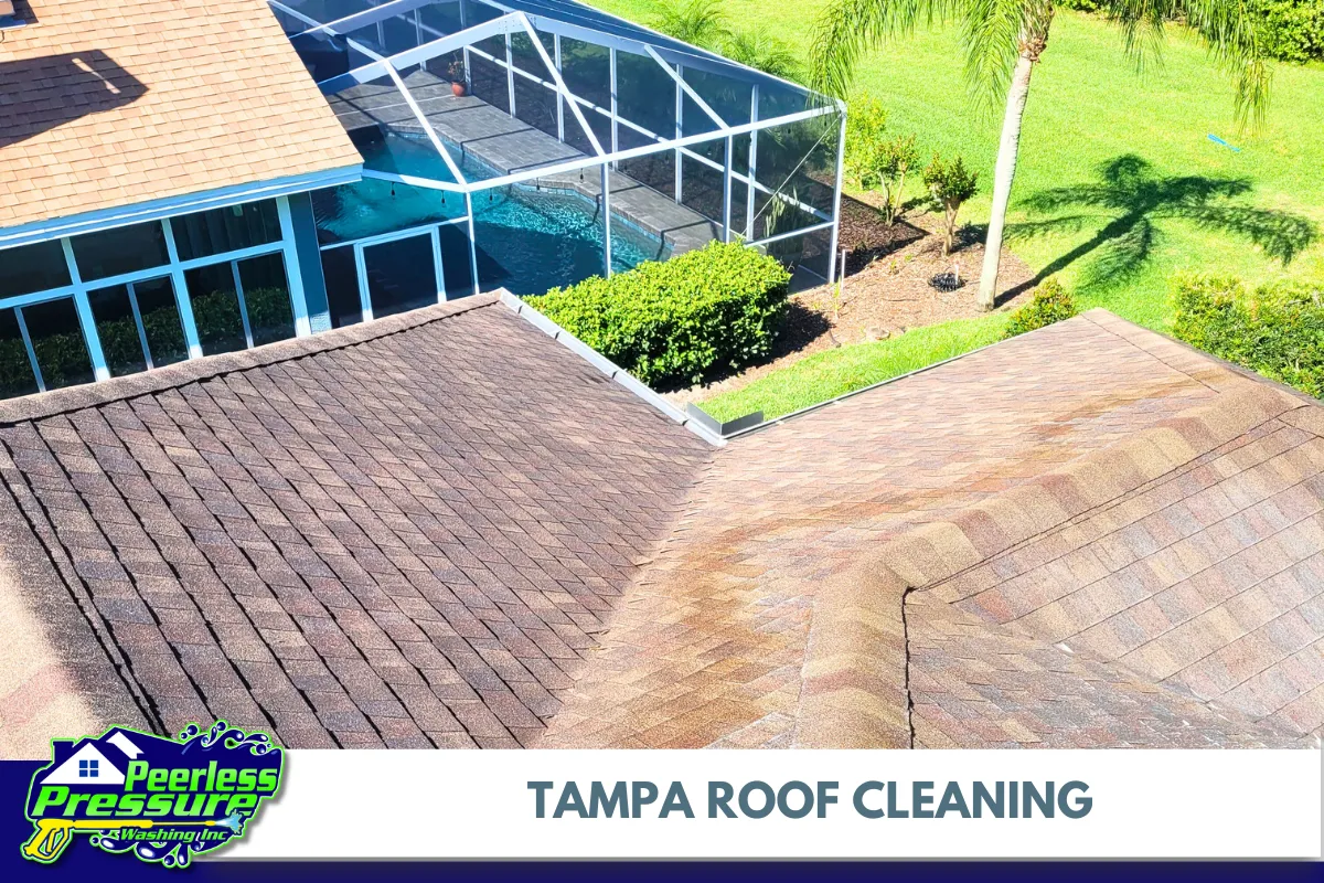 Tampa Roof Cleaning – Peerless Pressure Washing Inc.