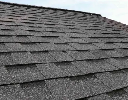Shingle Roof Cleaning