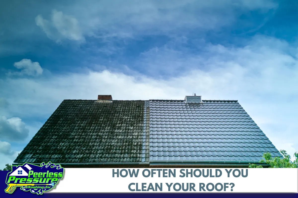 How Often Should You Clean Your Roof