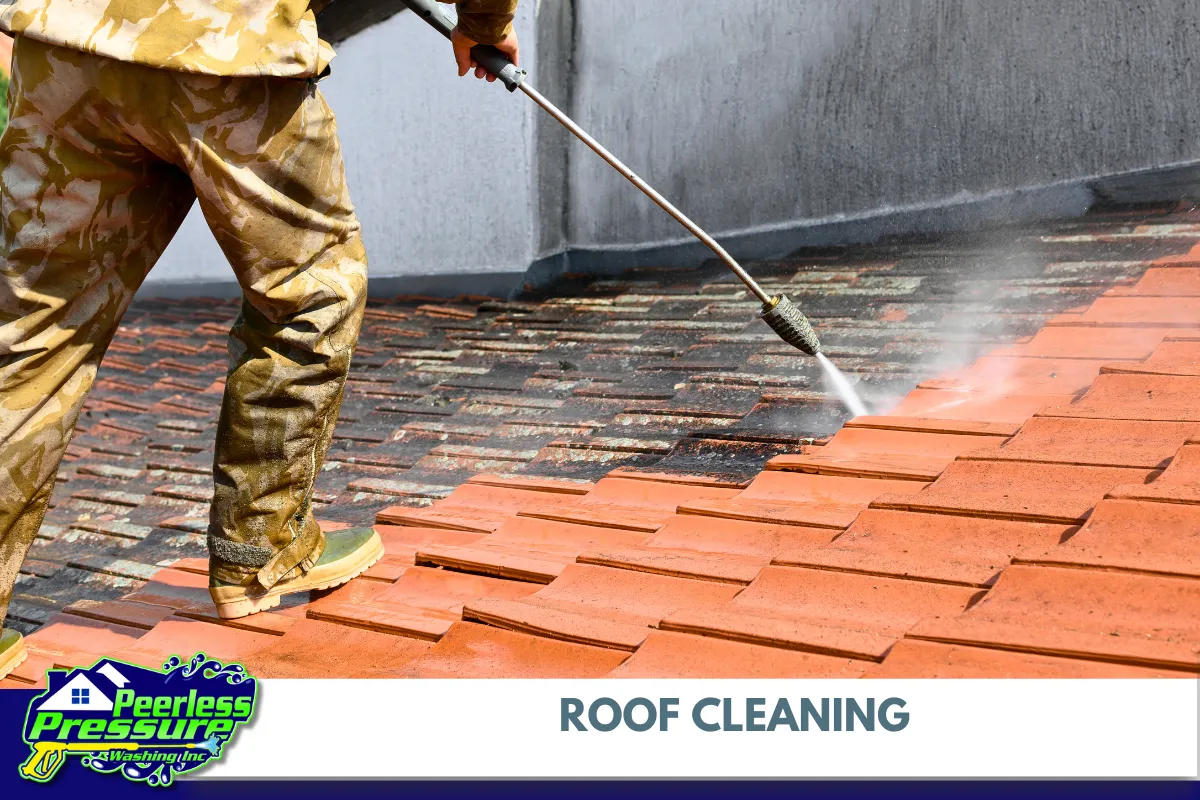 Roof Cleaning Methods Which One is Right for You