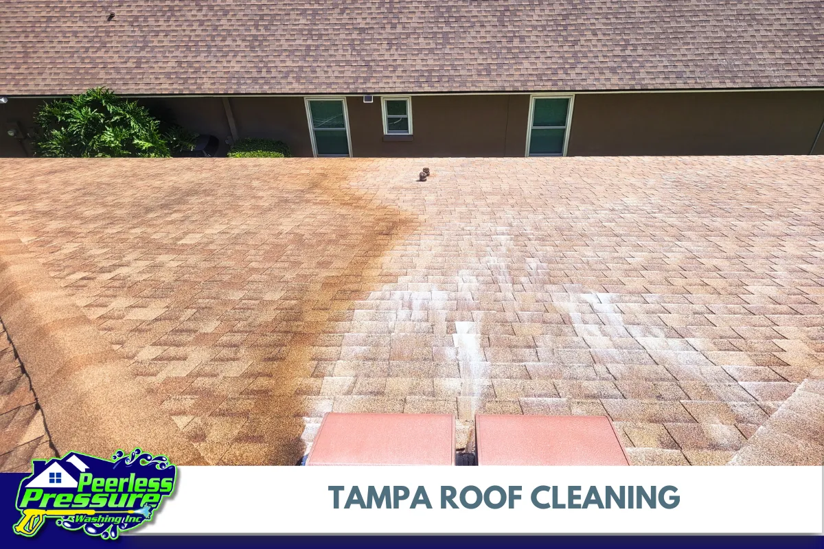 Tampa Roof Cleaning – Peerless Pressure Washing Inc.