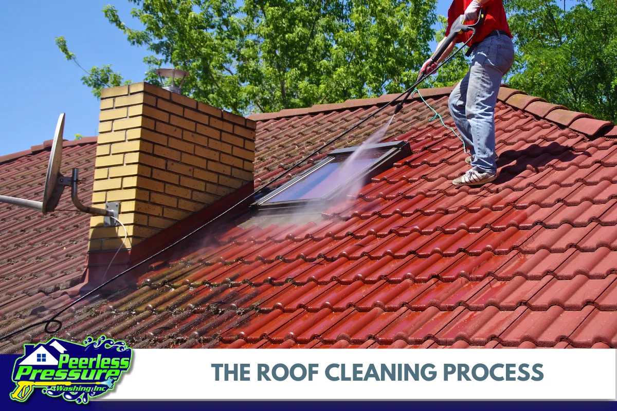 The Roof Cleaning Process What to Expect
