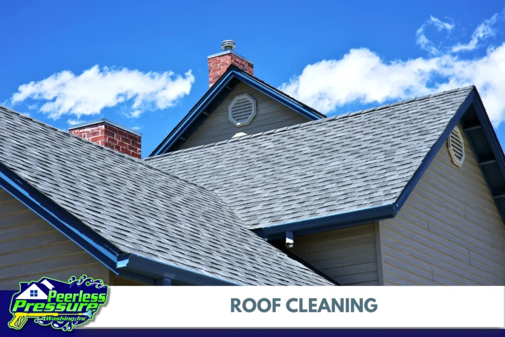 What Is Roof Cleaning, and Why Is It Important
