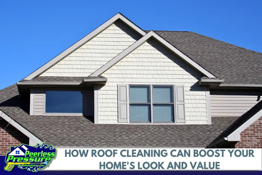 How Roof Cleaning Can Boost Your Home_s Look and Value